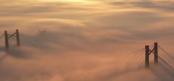 Alerta violeta por niebla - Zárate