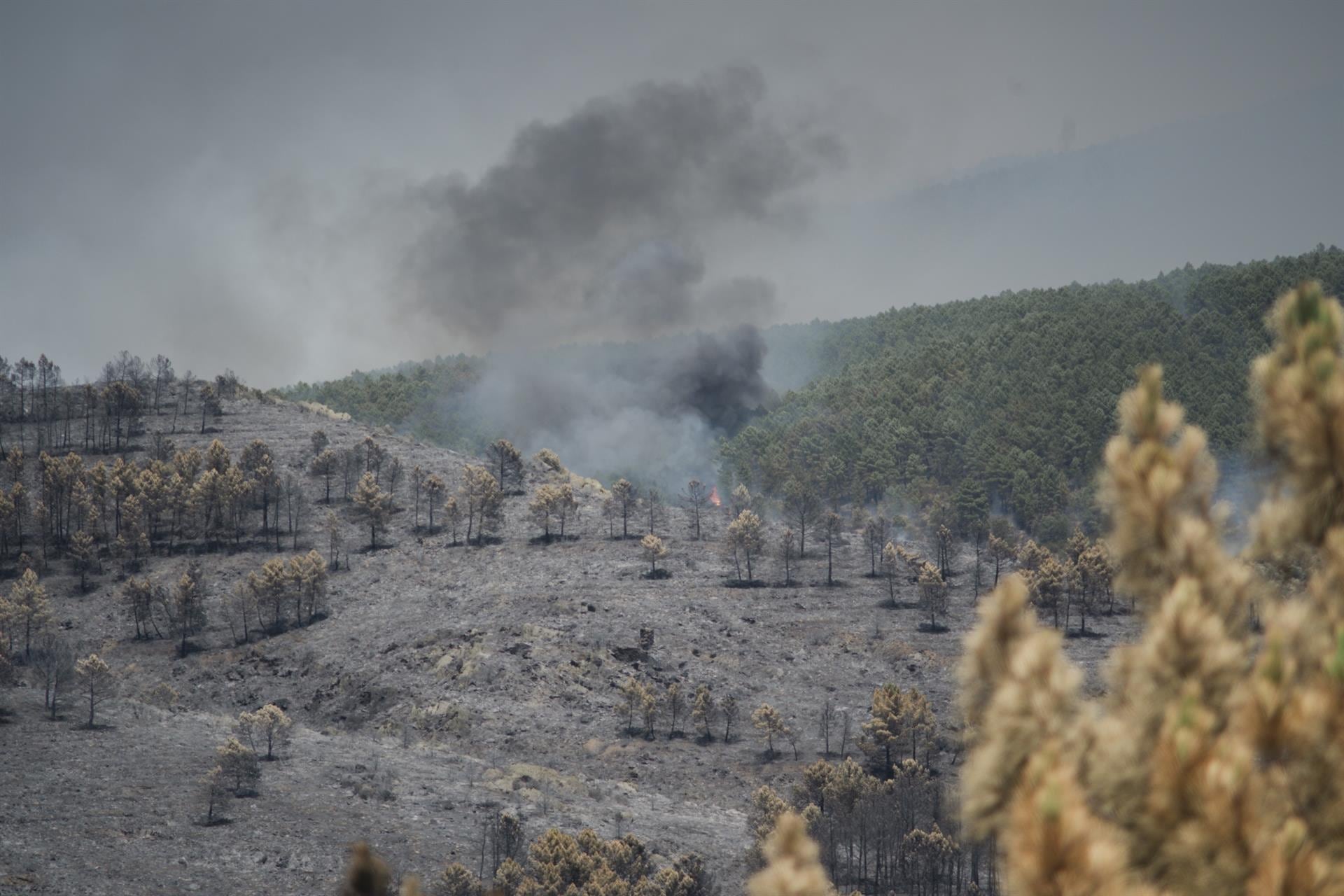 El incendio de La Mierla (Guadalajara) entra en su quinto día con más de 26.000 hectáreas quemadas