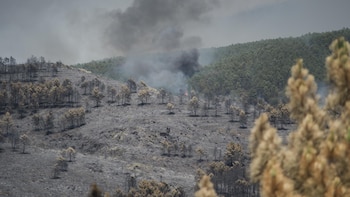 Unas 9.000 hectáreas quemadas, 16 pueblos evacuados y 700 afectados en el incendio de La Mierla (Guadalajara)