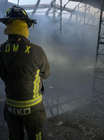 Especialistas aseguraron el lugar para