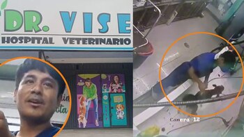 Denuncian a veterinaria 'Dr. Vise' por maltrato animal