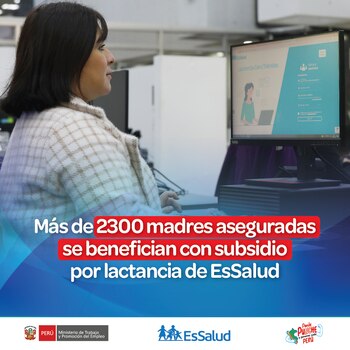 El subsidio puede solicitarse hasta