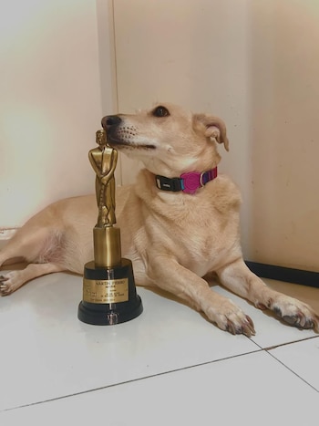 Los Martín Fierro de Pablo