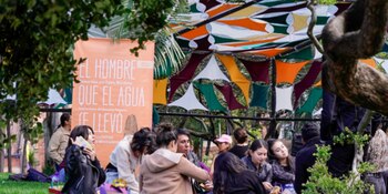 Lectura bajo los árboles se