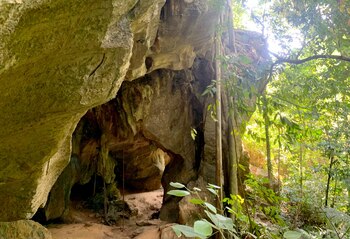 ARCHIVO - Atravesando la selva
