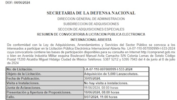 Resumen de la convocatoria de la Sedena para comprar cinco mil lanzacohetes. (Diario Oficial de la Federación)