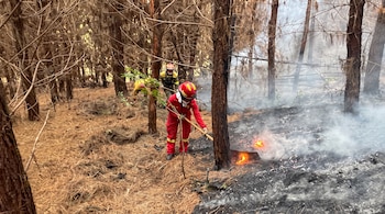 Tres bomberos con cascos y trajes de protección sostienen herramientas frente a llamas y humo en el suelo de un bosque.