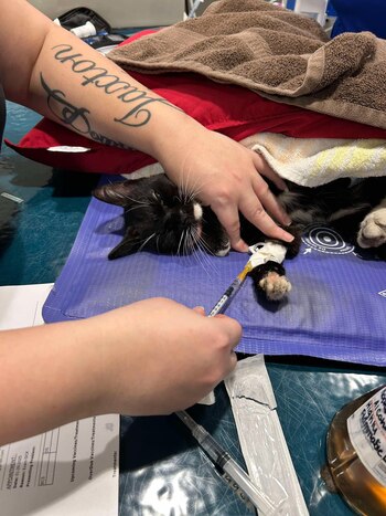 Una técnica veterinaria bautizó como