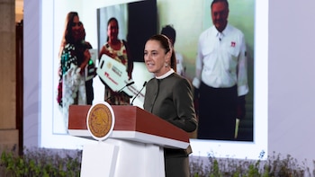 Gobierno de Sheinbaum prevé sembrar mil 500 millones de árboles y superar meta de AMLO con programa Sembrando Vida