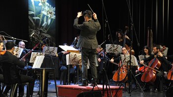 Cuarenta músicos internacionales participan en