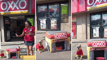 Garritas Garridas se ha convertido