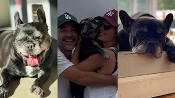 Murió Moro, el perro de 15 años de Paula Chaves y Pedro Alfonso: “El principio de esta familia”