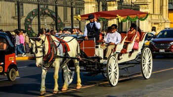 El cuidado de caballos en