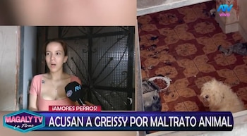 Greissy Ortega enfrenta acusaciones de presunto maltrato animal: vecinos difunden videos y audios. Captura: Magaly TV La Firme.