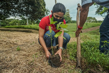 Imagen KPHGXZ5X5NCO3PJ7SQ5JILUWF4