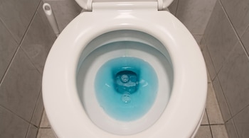 Inodoro de cerámica blanca con tapa levantada. El agua del inodoro es azul con burbujas. Detrás, paredes de azulejos grises y un cepillo de baño.