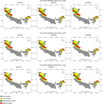 Nueve mapas ordenados en cuadrícula clasifican un territorio en cuatro niveles de aptitud con colores gris, amarillo, verde y rojo