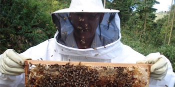 La Fundación Grano de Mostaza