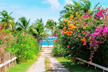 Olivier ya ha movilizado activos