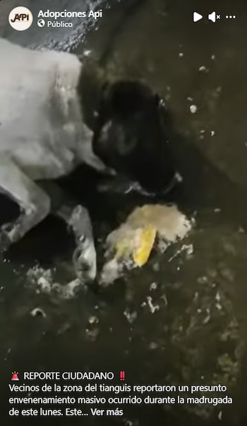 Imagen KPOZBPUURRGAVCSLYC6UQB5HYY