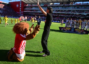 Eduardo Domínguez, director técnico de