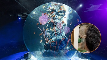 Atoa Aquarium de Kobe, en