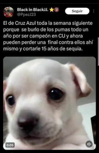 (Redes sociales)