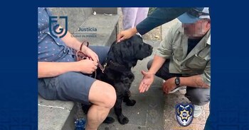 "Hidu" apoyó en las labores