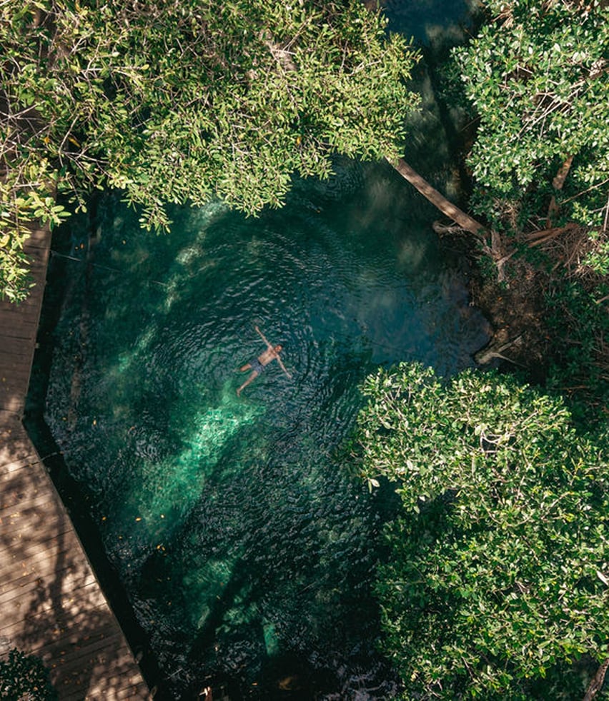 Entre manglares y agua dulce habitan jaguares, monos araña, ocelotes y flamencos. (Foto: Gobierno de Yucatán)