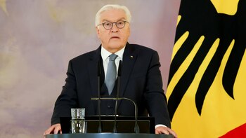 Steinmeier urge a votar para