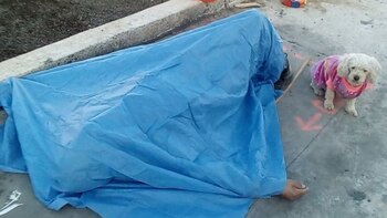 Un perrito resguardó el cadáver