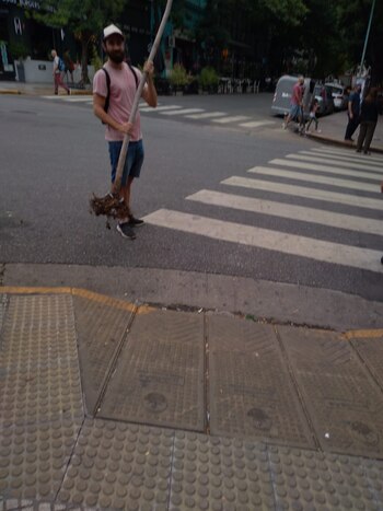 Junto al árbol para la