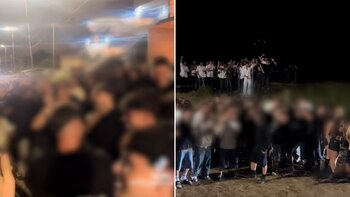 “¿Se arranca a las piñas