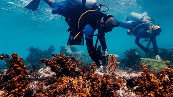 Continúa proceso de adecuación y