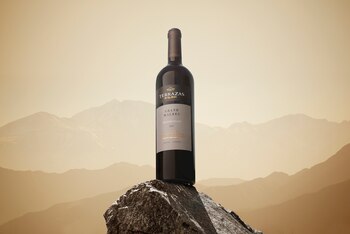 Los 50 mejores vinos de 2021- Terrazas Grand Malbec - Terrazas de los Andes