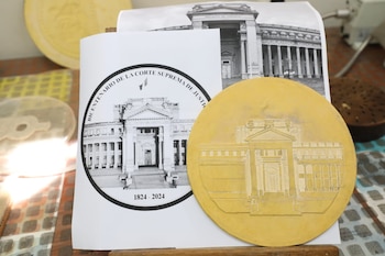 Así se ve el modelo