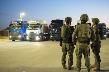 La ONU confirmó el ingreso