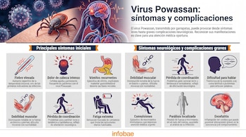 Infografía sobre el virus Powassan con garrapata, cerebro y cuerpo humano. Muestra iconos de los síntomas y complicaciones de la enfermedad.