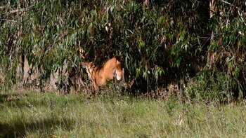 Este martes por la mañana