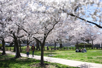People enjoy the spring weather