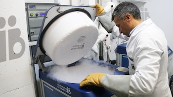 Todo lo que tienes que saber antes de congelar óvulos: “La tasa de aborto o la probabilidad de tener algún problema cromosómico baja”