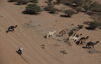 Una postal habitual en el