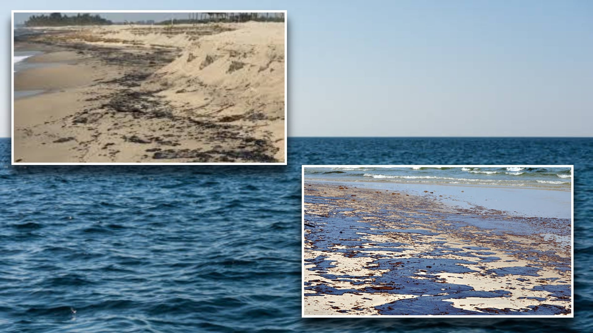 Organizaciones revelan que Pemex ocultó derrame en el Golfo de México: “Es una falsedad oficial” - Infobae