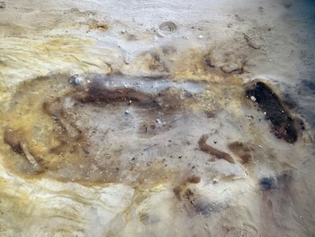 El entierro junto a un