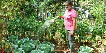 Una política del Gobierno de
