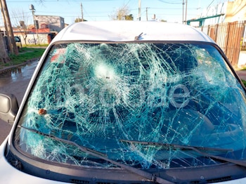 Esperaba dentro del auto, un árbol le cayó encima y demandó al municipio y a un barrio cerrado: por qué la Justicia solo condenó al Estado