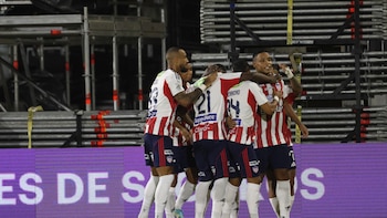 Gremio y Botafogo le quedaron