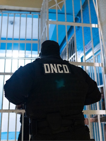 Los dos detenidos permanecerán bajo custodia en República Dominicana hasta que concluyan los procedimientos judiciales previos a la extradición. (Cortesía: Dirección Nacional de Control de Drogas )