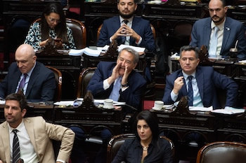Diputados de La Libertad Avanza