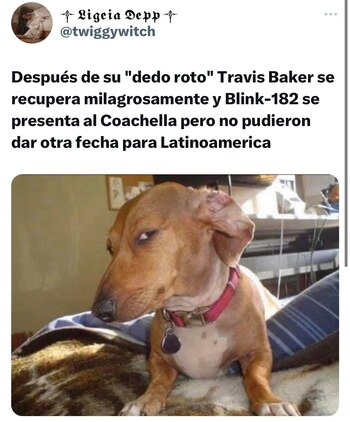 Blink-182 memes.
(Twitter)